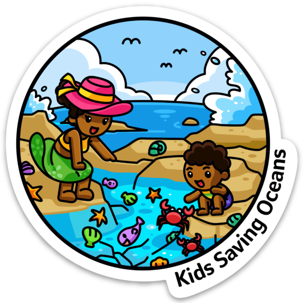 Tide Pools – Kids Saving Oceans